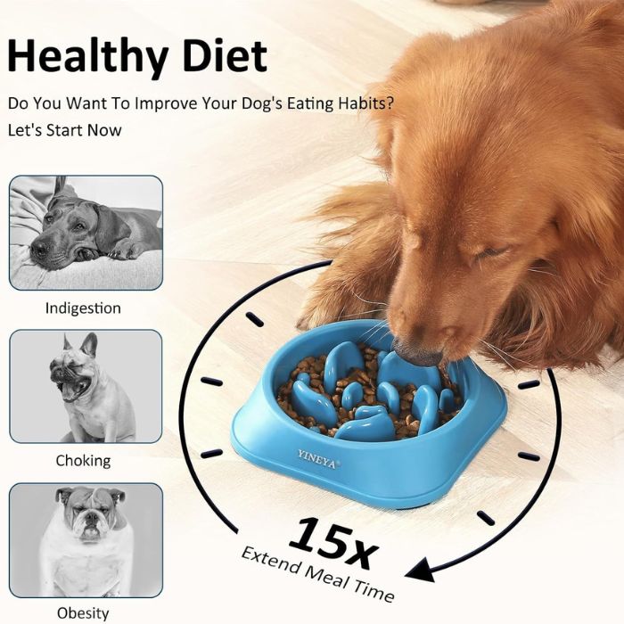YINEYA 2PCS Slow Feeder Dog Bowls, Pink & Blue - Image 3
